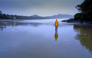 Coastsmart beach walk