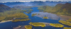 Tofino aerial