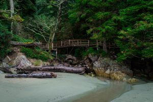 Tonquin Trail in Tofino, BC